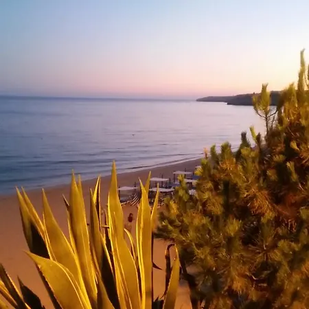 Armador Apartament *