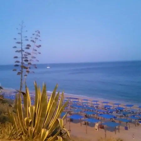 Armador Armação de Pêra